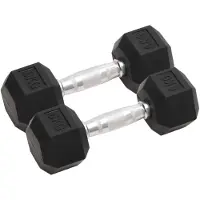 vidaXL Halters 2 st 6 kg totaal gietijzer