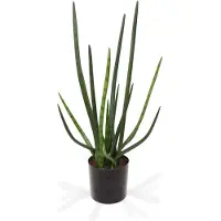 Maxifleur Kunstplanten Sanseveria Cylindrica kunstplant 75cm - groen