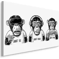 Karo-art Schilderij - 3 Apen, Horen Zien en Zwijgen, Zwart/wit, Premium Print