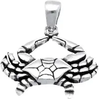 MOOYE ® - Collectie Zilveren Krab kettinghanger