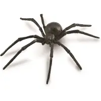 Collecta speelgoedspin zwarte weduwe junior 14 cm ABS zwart
