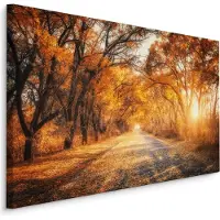 Karo-art Schilderij - Weg door het Herfst Bos, Premium Print, 5 maten
