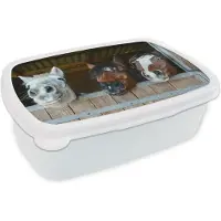 MuchoWow Broodtrommel Wit - Lunchbox Paarden - Dieren - Vacht - Stal - Brooddoos 18x12x6 cm - Brood lunch box - Broodtrommels voor kinderen en volwassenen