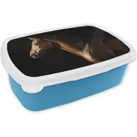 MuchoWow Broodtrommel Blauw - Lunchbox - Brooddoos - Paard - Dieren - Nacht - Zwart - 18x12x6 cm - Kinderen - Jongen