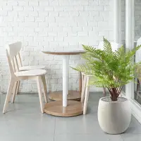 Maxifleur Kunstplanten Bosvaren kunstplant 80cm