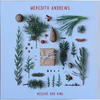 Coast2Coast Meredith Andrews - Receive Our King (CD)