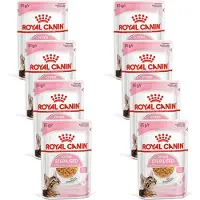 Royal Canin 96x Kitten Sterilised Jelly Kattenvoer Nat 85 gr