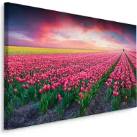 Karo-art Schilderij - Bloeiend tulpen veld, premium print