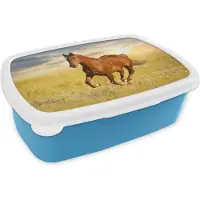 MuchoWow Broodtrommel Blauw - Lunchbox - Brooddoos - Paard - Zon - Gras - Dier - 18x12x6 cm - Kinderen - Jongen