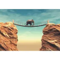 Consalnet Fotobehang Olifant en Rotsen XXL – posterbehang – 368 x 254 cm