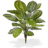 Maxifleur Kunstplanten Calathea Roseopicta kunstplant 65 cm boeket