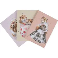 Wrendale Designs Set 3 Notebooks - Whiskers & Paws -