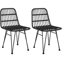 vidaXL Tuinstoelen 2 st 48x62 84 cm PE rattan zwart