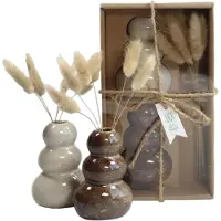 Coppens Giftset vaasje met droogbloemen naturel