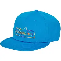 Patagonia Pet Scrap Everyday Cap heren One size