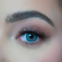 Dezzy's Russian Blue Blue