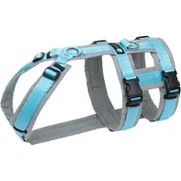 AnnyX Safety FUN Hondentuig XS – Anti-Ontsnapping Veiligheidstuig – Grijs ICE – Voor Angstige of Herplaatste Honden