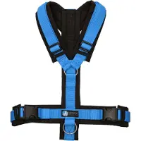 AnnyX hondentuig speurtuig-harnas Y-tuig-Zwart Blauw- maat XL-geschikt voor borstomtrek 78 tot 96cm