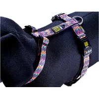 Max & Molly Vintage Pink Harnas / Hondentuigje - Polyester - L - Halsomvang: 46 - 77 cm - Borstomtrek: 71 - 98 cm (GELIEVE ALVORENS BESTELLEN OPMETEN)