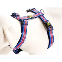 Max & Molly Hampton Strip Harnas / Hondentuigje - Polyester - Blauw - S - Halsomvang: 30 - 46 cm -Borstomtrek: 44 - 52 cm (GELIEVE ALVORENS BESTELLEN OPMETEN)
