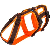 AnnyX PROTECT SAFETY Hondentuig L – Oranje/Bruin – Veilig & Reflecterend