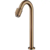 Wiesbaden Toiletkraan xl victoria 1/2 geborsteld brons koper