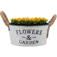 DK Design Plantenpot/bloempot schaal Jardin- zink - wit - D21 x H9 cm