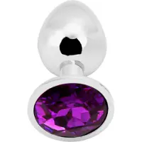 PLGZ - Rosebud Metalen Buttplug - Zilver - Paarse Siersteen - Verkrijgbaar in 3 maten Large