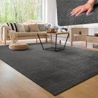 Paco Home Moderne woonkamer tapijt kortpolig wasbaar zacht uni effect bont antislip 100x200 cm
