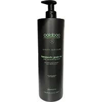 Oolaboo Therapeutic Green Tea Stop Roos Shampoo 1000 ml