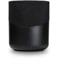 Bluesound Pulse M - Zwart