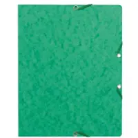 Exacompta Ordner 55463E Groen 50 Stuks