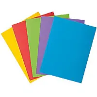 Exacompta 2-flap mappen 216000E Kleurenassortiment Karton 24 x 32 cm 250 Stuks