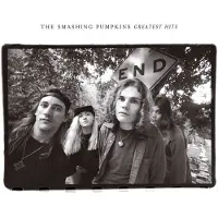 Smashing Pumpkins LP - Rotten Apples (Greatest Hits) - voor Geen - standaard | Maat Standard