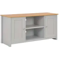 vidaXL Tv-meubel 120x39x58 cm grijs