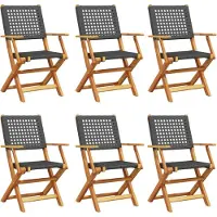 vidaXL Tuinstoelen 6 st inklapbaar poly rattan en massief hout zwart