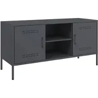 vidaXL Tv-meubel 100,5x39x50,5 cm staal antracietkleurig