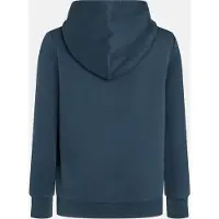 Peak Performance Hoodie Women Big Logo Hood Blue Shadow-S