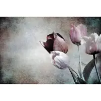 Karo-art Fotobehang Vintage Tulpen - Vliesbehang - 460 x 300 cm