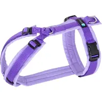 AnnyX Hondentuig - FUN - Speurtuig - Paars/Lila - maat S - Borstomvang 52-64cm - Gewicht hond 9 -19 kg