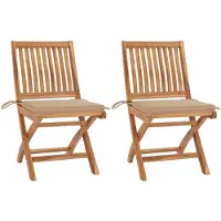 vidaXL Tuinstoelen 2 st met beige kussens massief teakhout
