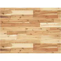 vidaXL Wastafelblad met olieafwerking 100x60x4 cm massief acaciahout