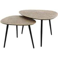 Fraaai Dylan salontafel set van 2