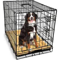 Goliving Gopets Opvouwbare Hondenkennel XL - Hondenhut - Bank - Voor honden - Inclusief plaid - 2 deuren - 107 x 71 x 76 cm