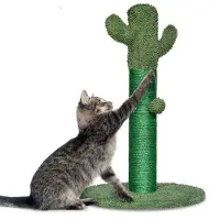 Gopets Krabpaal Katten - Cactus Krabpaal met Touw - Krabplank modern design - Krabmeubel met Speeltje - 65cm