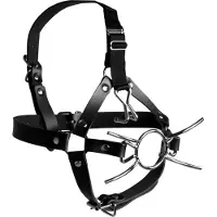Ouch! Hoofdharnas met Spider Gag en Neushaken