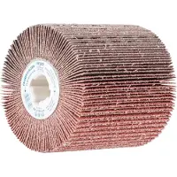 PFERD TOOLS 44783040 Lamellenschijfwals Diameter 100 mm 1 stuk(s)