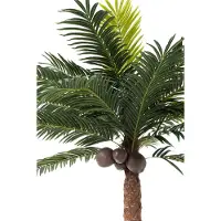 J-Line Palmboom 4 Kokosnoten In Pot Plastic Groen