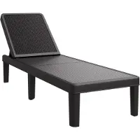 vidaXL Ligbed in 4 standen verstelbaar 155,5x57x28 cm polypropeen