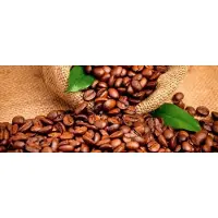 Blokker Dimex Coffee Beans Vlies Fotobehang 375x150cm 2-delen
